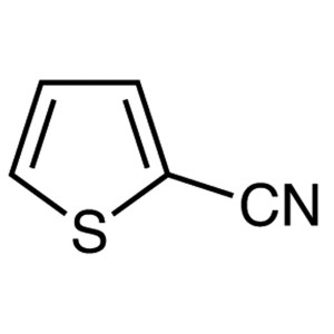 2-Cyanothiophene CAS 1003-31-2 Purity >99.0% (GC) Factory Main Product