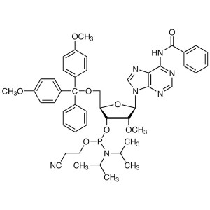 2′-OMe-A(Bz) Phosphoramidite CAS 110782-31-5 Purity ≥99.0% (HPLC) RNA Phosphoramidites