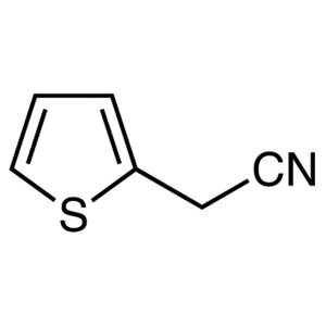 2-Thiopheneacetonitrile CAS 20893-30-5 Kemurnian >98,0% (GC) Pabrik Hot Sale