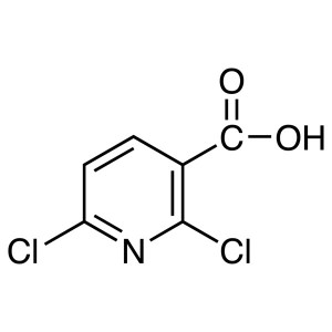 2,6-Dichloronicotinic Acid CAS 38496-18-3 Purity >99.0% (GC)