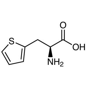 3- (2-Thienyl) -L-Alanine CAS 22951-96-8 (H-Thi-OH) Ịdị ọcha> 98.0% (HPLC)