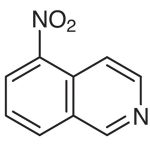 5-Nitroisoquinoline CAS 607-32-9 शुद्धता >98.0% (HPLC)