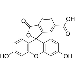 6-Carboxyfluorescein (6-FAM) CAS 3301-79-9 Purity >97.0% (HPLC)