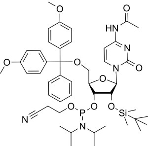 Ac-rC Phosphoramidite CAS 121058-88-6 Purity ≥98.0% (HPLC) Purity ≥98.0% (31P-NMR) RNA Phosphoramidites