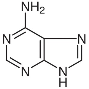Adenine CAS 73-24-5 Assay 98.0%~102.0% (Titration) မြင့်မားသော သန့်ရှင်းမှု စက်ရုံ