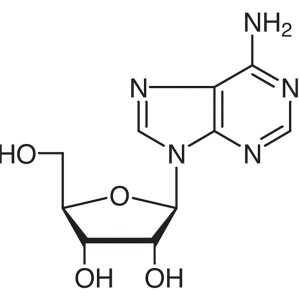 Adenosine CAS 58-61-7 Su'esu'ega 99.0% -101.0% USP Fa'ata'ita'iga Fale Fa'ata'ita'iga Mamalu Maualuga