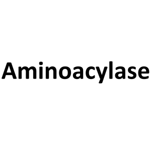 Aminoacylase CAS 9012-37-7 Enzymatic Activity ≥30000u/g Factory