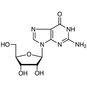 Guanosien CAS 118-00-3 Suiwerheid ≥98.0% (HPLC) Assay 97.0-103.0% (UV) Hoë suiwerheid