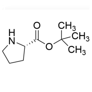 H-Pro-OtBu CAS 2812-46-6 L-Proline tert-Butil Ester Sofligi >99,0% (HPLC) zavodi