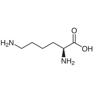 L - (+) - Lysine CAS 56-87-1 (H-Lys-OH) مقايسة 98.5 ~ 101.5٪ (معايرة) جودة عالية من المصنع