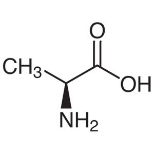 L-Alanine CAS 56-41-7 (H-Ala-OH) Kemurnian 98,5%~101,0% Standar AJI 97/USP/BP/FCC