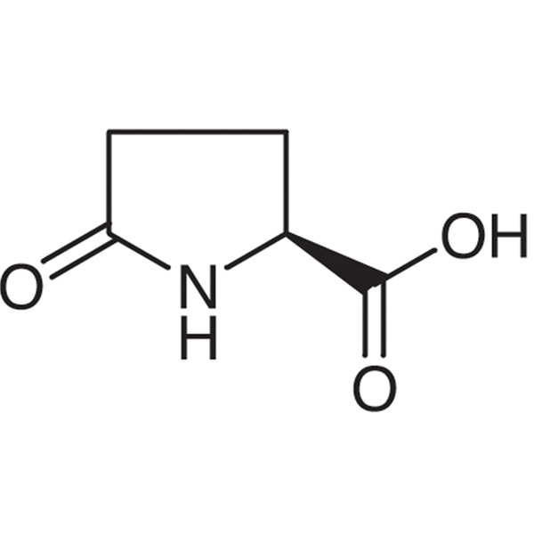 L-Pyroglutamic Acid CAS 98-79-3 (H-Pyr-OH) Assay 99.0~101.0% Factory