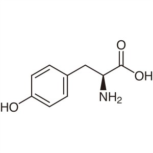 L-(-)-Tyrosine CAS 60-18-4 (H-Tyr-OH) Ayẹwo 98.5 ~ 101.5% Didara Didara Factory