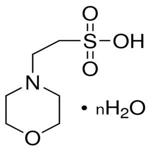 MES Hydrate CAS 1266615-59-1 نقاء> 99.0٪ (معايرة) عازلة بيولوجية مصنع درجة نقية للغاية