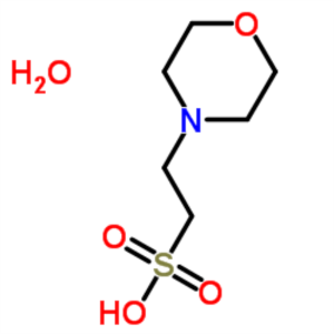 MES Monohydrate CAS 145224-94-8 Puritas >99.0% (Titration) Biological Buffer Ultra Pure Grade Factory