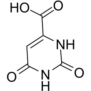 Orotic Acid Anhydrous CAS 65-86-1 Purity >99.0% (Titration by NaOH)