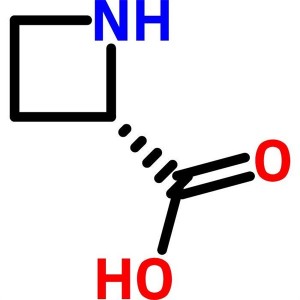(S)-(-)-Azetidine-2-Carboxylic Acid CAS 2133-34-8 Purezza > 98,0% (HPLC) Fabbrica