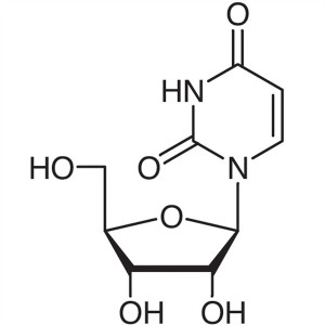 Uridina CAS 58-96-8 Pureza ≥99,0% (HPLC) Contenido 98,0%-102,0% (UV) Alta pureza