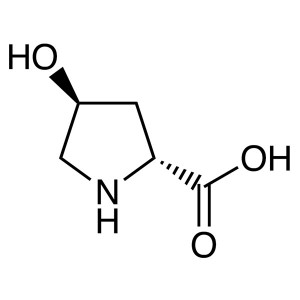 trans-4-Hydroxy-D-Proline CAS 3398-22-9 (H-D-Hyp-OH) Assay >98.0% (T) (HPLC) E.E >98.0%